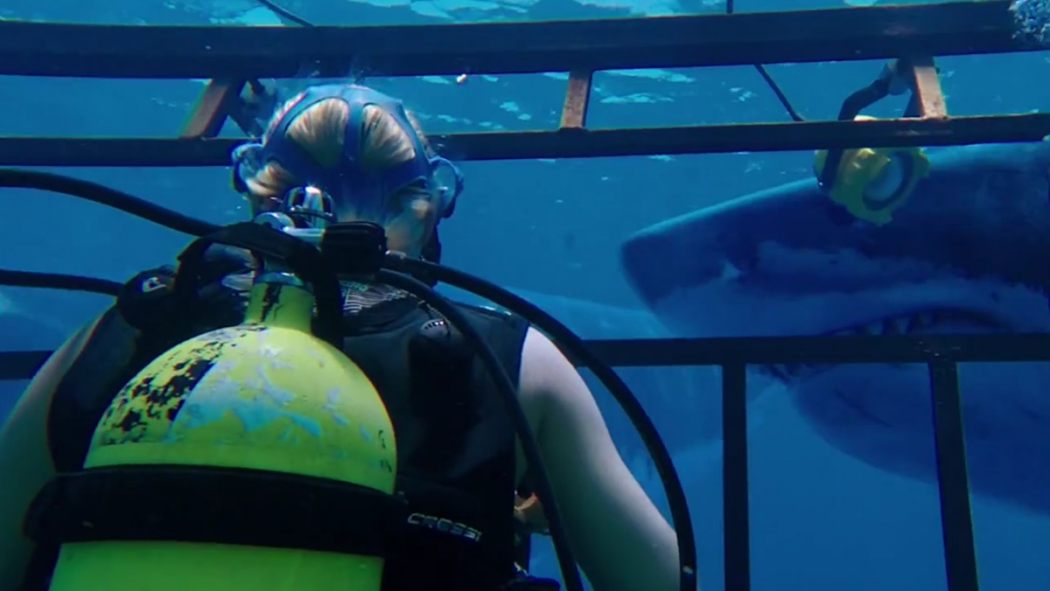 It’s Mandy Moore VS. Shark In The First 47 METERS DOWN Trailer | Birth