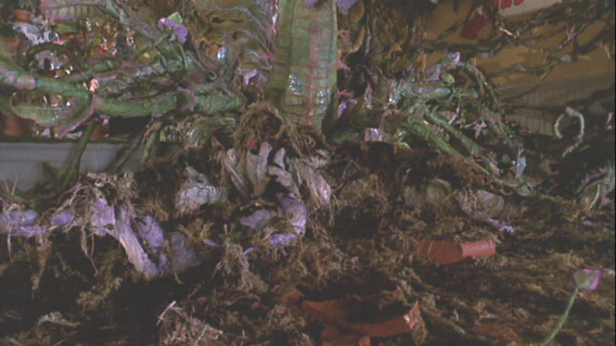 Terror Tuesday Killer Plants Birth.Movies.Death.