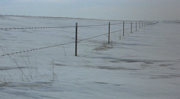 fargo.png